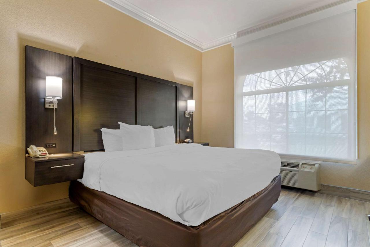 Comfort Suites Kingwood Houston North Humble 59 エクステリア 写真